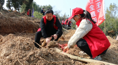 视频｜ “植”此青绿 共建家园（赤龙湖管理处、联投公司）