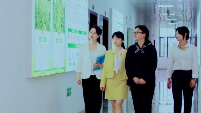 视频｜蕲艾产业技术研究院：科技创新领域“她力量”