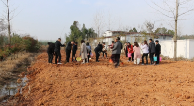视频｜“植”此青绿 共建家园（李时珍医药工业园区管委会）