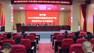 视频｜狮子镇织牢织密森林防火安全网