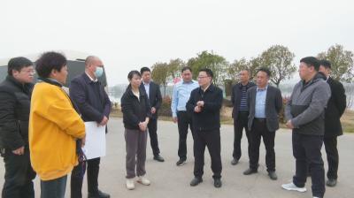 视频｜胡安元调研多彩旅游路建设工作