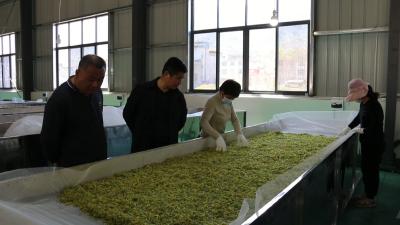 视频｜张塝镇胡塆村：闲置土地变现“生金”