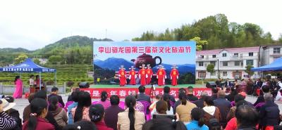 视频｜李山驹龙园第三届茶文化旅游节举行