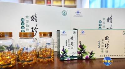 视频｜李时珍保健油湖北有限公司：创新驱动 做好健康油