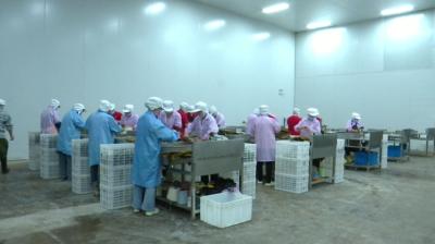 视频｜湖北为美辰食品有限公司：提高生产质效 满足市场需求
