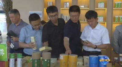 视频｜专家教授共话蕲艾产业发展新前景