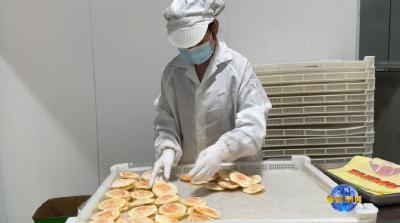 视频｜完善畜禽产业链 提高农业产业化水平