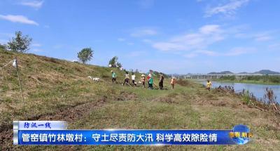 视频｜管窑镇竹林墩村：守土尽责防大汛 科学高效除险情