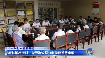 视频｜檀林镇槐树村：党员群众积分制助建茶香小镇