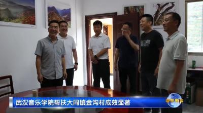 视频｜武汉音乐学院帮扶大同镇金沟村成效显著