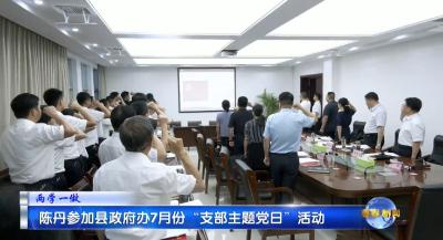 视频｜陈丹参加县政府办7月份“支部主题党日”活动