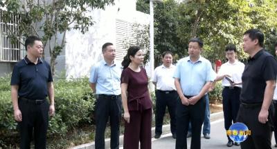 视频｜陈丹到漕河 蕲州调研