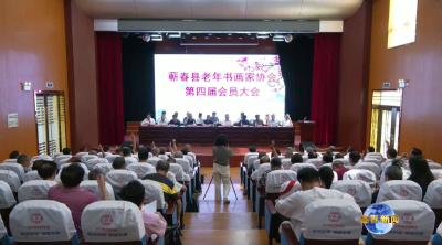 视频｜县老年书画家协会换届