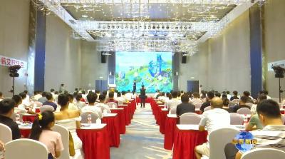 视频｜加强平台资源对接 共商蕲艾电商发展