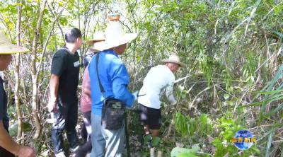 视频｜黄黄高速改扩建（蕲春段）项目进入施工阶段