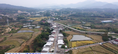 视频｜ 刘河镇分路村：共同缔造聚合力 谱写群众“幸福曲”