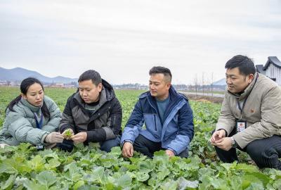 奋进的春天| 东楚大地奏响春耕“进行曲”