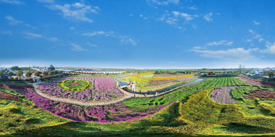 走，在天门来一场“和美乡村”之旅！