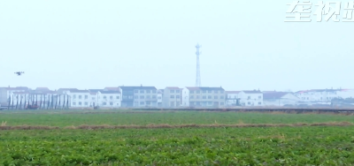 聚力建支点｜ 十佳农民齐奏“春之序曲”