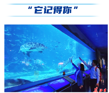 两会“她”力量：“我们一起去北京看看‘厚福’” ——一位人大代表与长江退捕渔民的约定