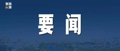 从大别山到全国两会 ——为推进老区区域协同发展建言