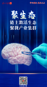 牢记嘱托 建成支点丨聚生态！链主激活生态，聚拢产业集群