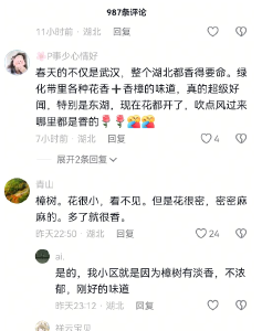 “武汉街道喷香水了吗？” 外地网友的一次发问被千人抢答……