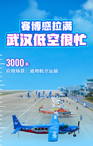 牢记嘱托 建成支点丨载人的、送货的、滑翔的、救援的，武汉低空好忙！