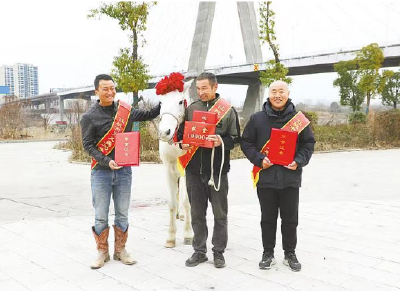 东湖评论：白马当选“湖北好人”，是对动物伙伴道德价值的深情褒奖