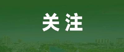 从萌芽到繁盛，武汉民企总量突破115万家——大城奋进·武汉民营经济高质量发展观察③