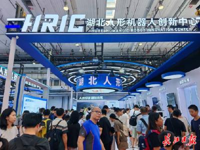 这项指标，武汉居中西部第一