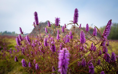 裸眼3D还原+沉浸式戏剧——大冶铜绿山让3000年矿冶文明“活”起来