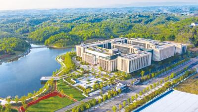 抢占这一赛道，宜昌到底有多拼？