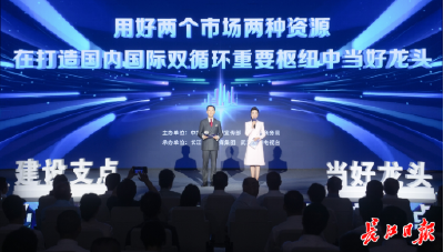 从“中部中心”向“全国核心枢纽”跃升，武汉勾勒双循环发展新蓝图