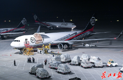 生而不同，唯快不破，不只运货——揭秘花湖机场何以排名全国第四