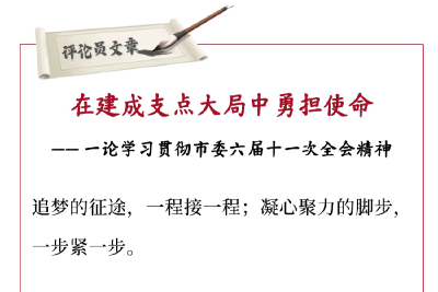 评论员文章 | 在建成支点大局中勇担使命