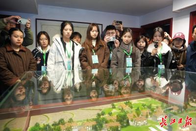 胸怀“国之大者”，这些青年人从总书记回信中汲取奋进力量