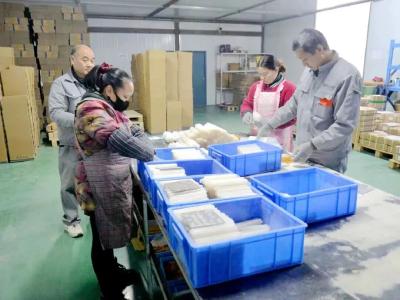 小镇来了年轻人