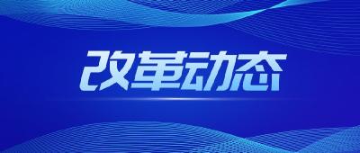 黄梅县2021年7月16日-31日改革动态