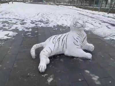 这些雪人堆的真令人羡慕，黄梅网友都是手艺人！
