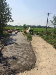 陈庙村组织村民对路桥进行维修加固，保障村民安全通行