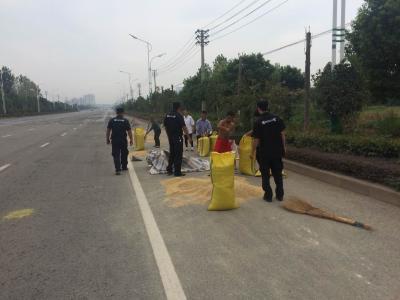 孝昌城管清理占道稻谷  保证公路行车安全