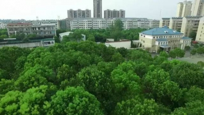 孝昌在蝶变，将幻化成一座巨型的城市园林