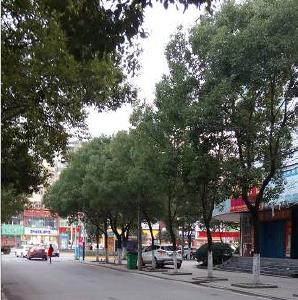 下月起，孝昌这些路段将实行单向通行！