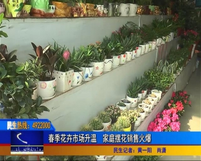 春天来了，孝昌人都爱买哪些绿色植物？