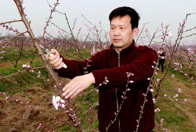 孝昌陡山乡一“猪倌”成功转型变身当“园主”