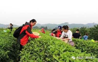 厉害了，我的大孝昌！就这一个大动作，就要美爆全国朋友圈！