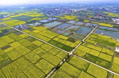湖北孝昌：美丽田园春色好