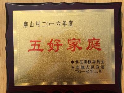 王店镇举行“五好家庭 五好婆媳”评选表彰活动