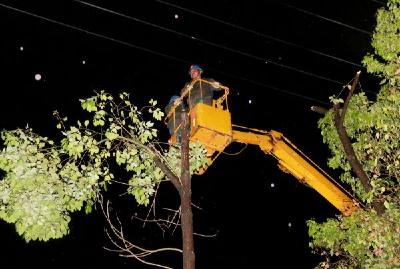 高压线短路导致城区万余用户停电 孝昌供电公司紧急抢修4小时恢复